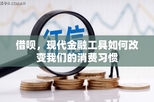 双桥借呗，现代金融工具如何改变我们的消费习惯