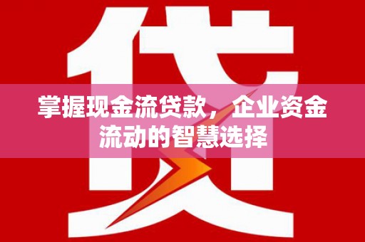 双桥掌握现金流贷款，企业资金流动的智慧选择