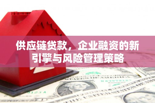 双桥供应链贷款，企业融资的新引擎与风险管理策略