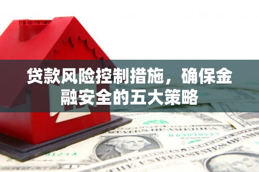 双桥贷款风险控制措施，确保金融安全的五大策略