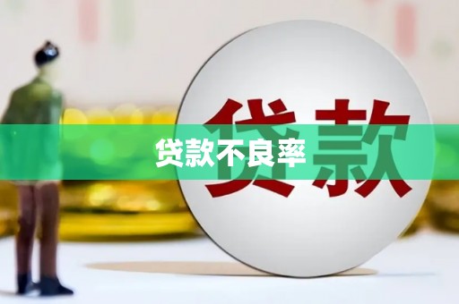 双桥贷款不良率