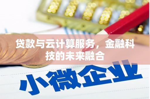 双桥贷款与云计算服务，金融科技的未来融合