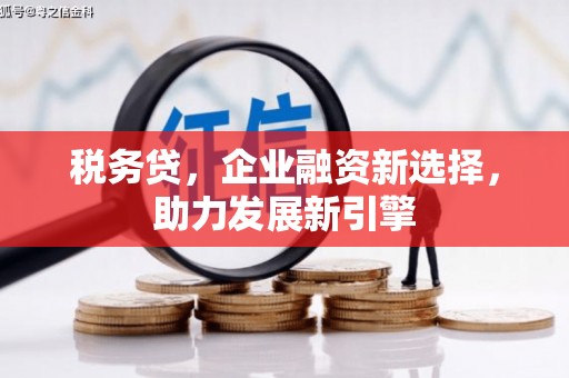 双桥税务贷，企业融资新选择，助力发展新引擎