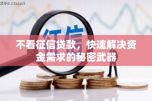 双桥不看征信贷款，快速解决资金需求的秘密武器