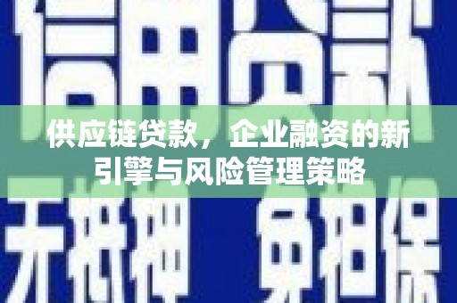 双桥供应链贷款，企业融资的新引擎与风险管理策略