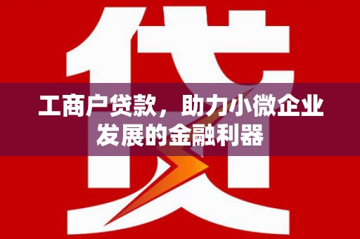 双桥工商户贷款，助力小微企业发展的金融利器