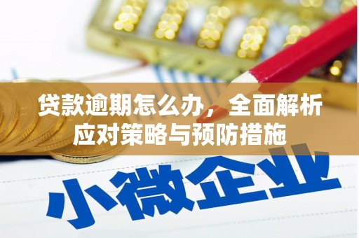 双桥贷款逾期怎么办，全面解析应对策略与预防措施