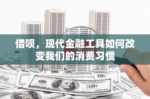 双桥借呗，现代金融工具如何改变我们的消费习惯