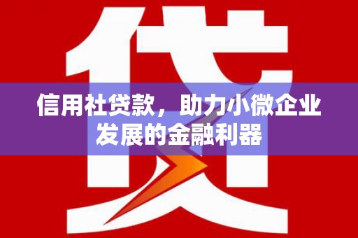 双桥信用社贷款，助力小微企业发展的金融利器