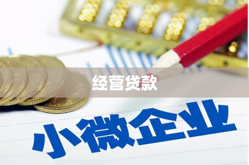 双桥经营贷款