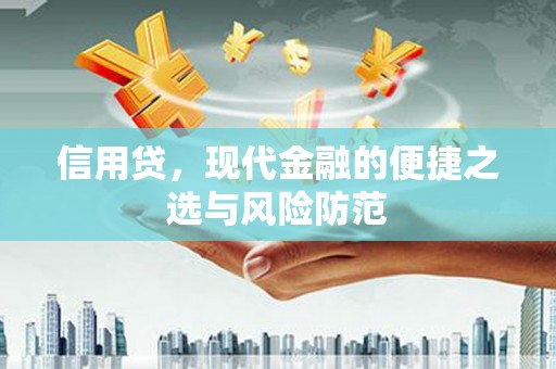 双桥信用贷，现代金融的便捷之选与风险防范