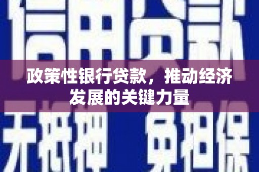 双桥政策性银行贷款，推动经济发展的关键力量