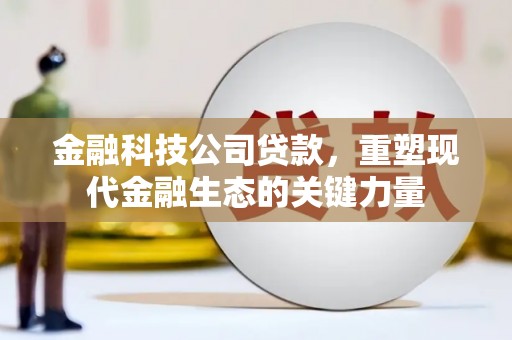 双桥金融科技公司贷款，重塑现代金融生态的关键力量