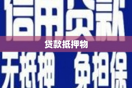 双桥贷款抵押物