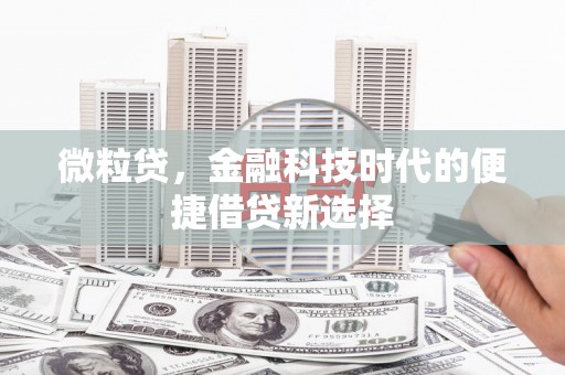 双桥微粒贷，金融科技时代的便捷借贷新选择