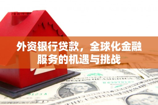 双桥外资银行贷款，全球化金融服务的机遇与挑战