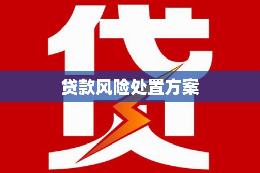 双桥贷款风险处置方案