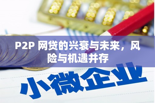 双桥P2P 网贷的兴衰与未来，风险与机遇并存