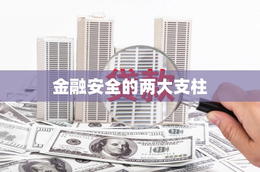 双桥金融安全的两大支柱