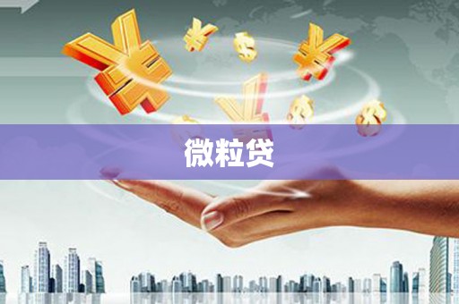 双桥微粒贷