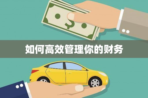 双桥如何高效管理你的财务