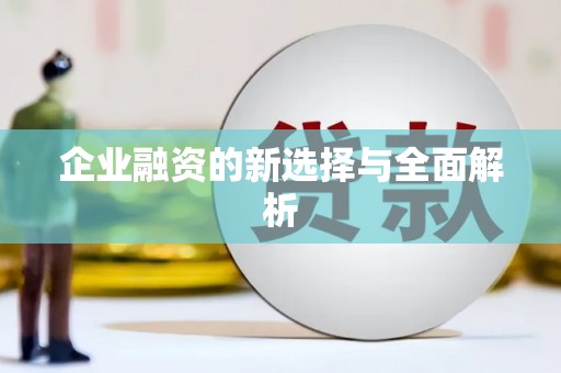 双桥企业融资的新选择与全面解析