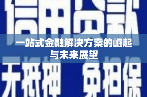 双桥一站式金融解决方案的崛起与未来展望