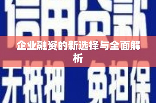 双桥企业融资的新选择与全面解析