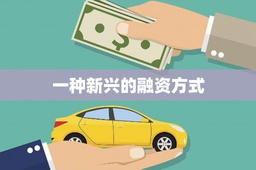 双桥一种新兴的融资方式