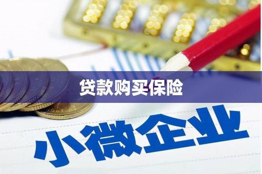 双桥贷款购买保险