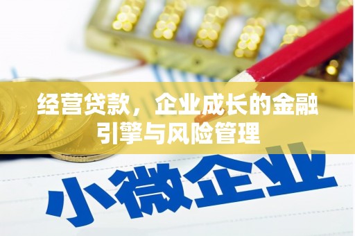 双桥经营贷款，企业成长的金融引擎与风险管理
