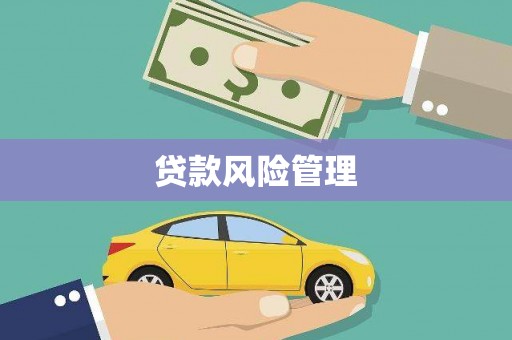 双桥贷款风险管理