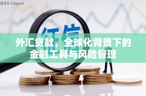 双桥外汇贷款，全球化背景下的金融工具与风险管理