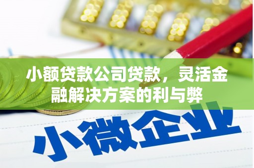 双桥小额贷款公司贷款，灵活金融解决方案的利与弊