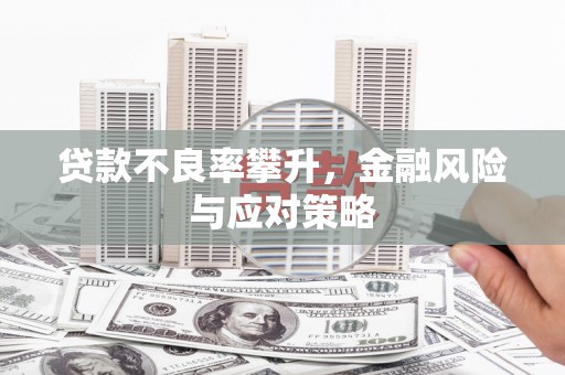 双桥贷款不良率攀升，金融风险与应对策略